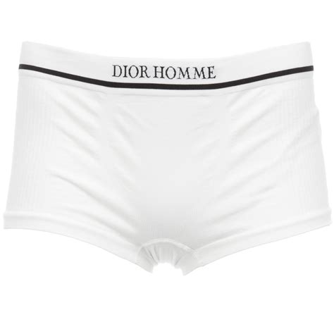 christian dior briefs|men's dior homme underwear.